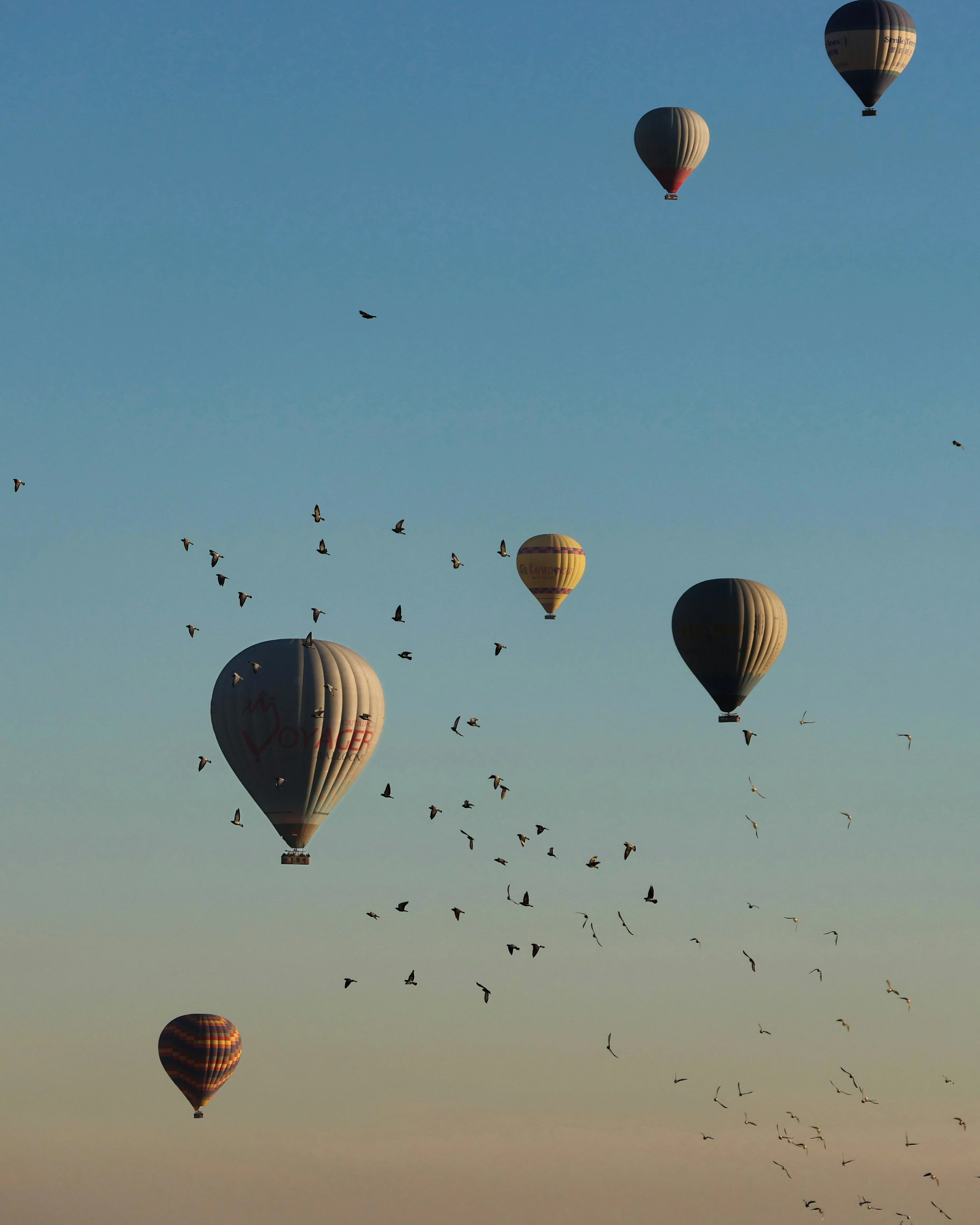 Air Balloon Flights